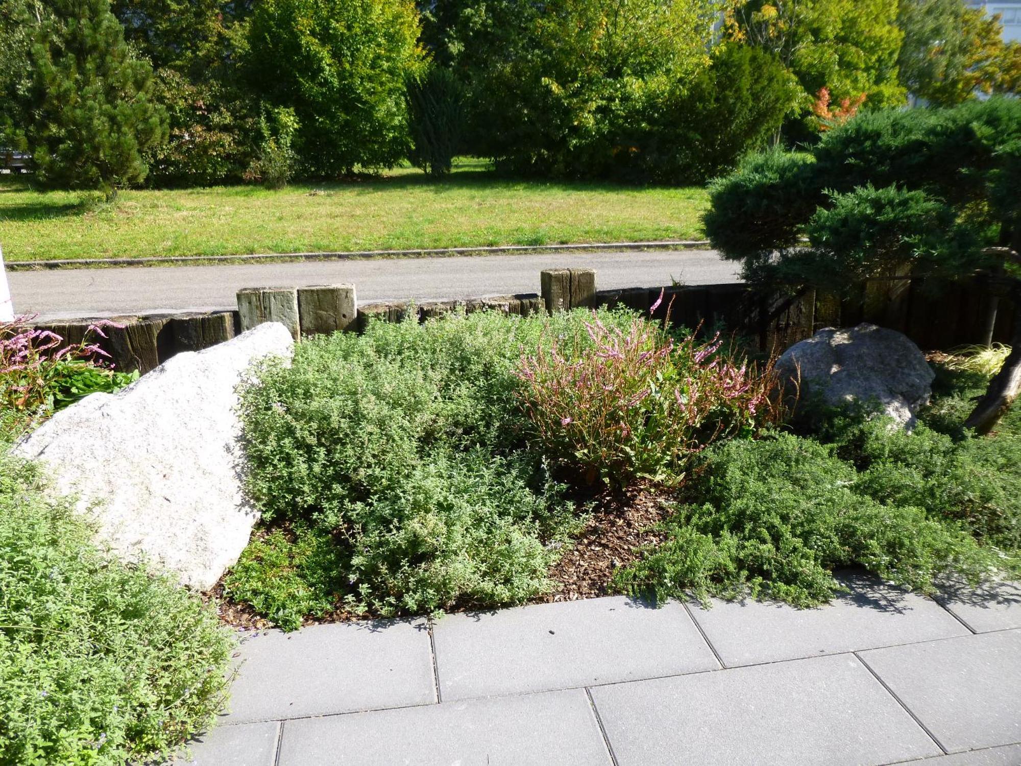 Ambiente In Karlsruhe City المظهر الخارجي الصورة