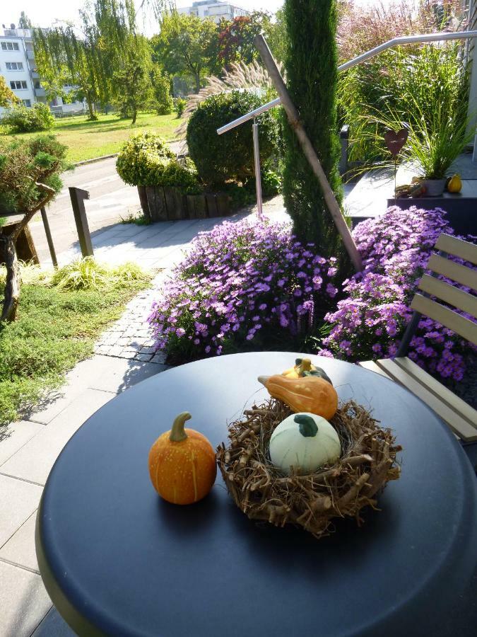 Ambiente In Karlsruhe City المظهر الخارجي الصورة